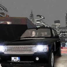 Activities of City Traffic Car Driving - Open World
