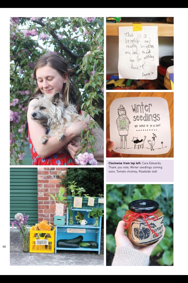 Pip Magazine screenshot 4