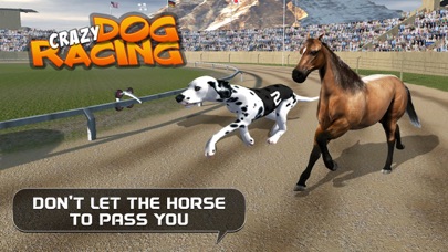 CRAZY DOG RACING : CHASE RACING BUNNY WITH PET DOG 1.5.7 IOS ĐUA XE CRAZY DOG RACING : CHASE RACING BUNNY WITH PET DOG 1.5.7 IOS