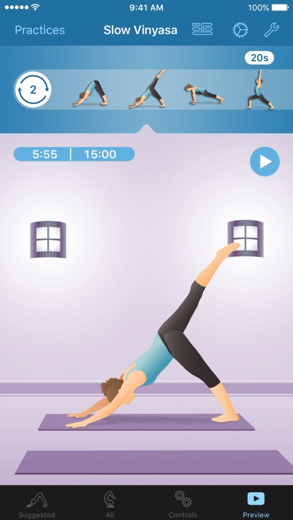 Pocket Yoga Teacher