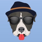 PitMojis - Pit Bull Emoji  Stickers