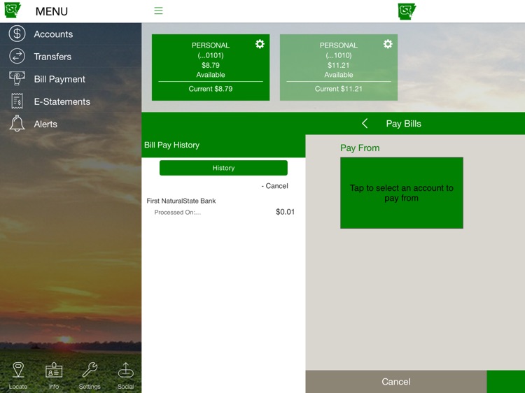 First NaturalState Bank for iPad