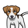 JackMoji - Jack Russell Emoji & Stickers