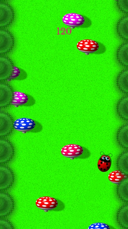 Tilt Tilt Ladybug Lite screenshot-3