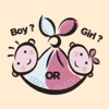 Boy or Girl Calendar