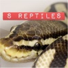 S-Reptiles