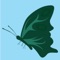 Flap the little wings of the Pretty Butterfly in this fun packed 3D Tap Game