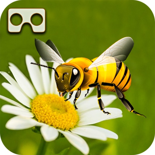 VR Brilliant Bee Adventure