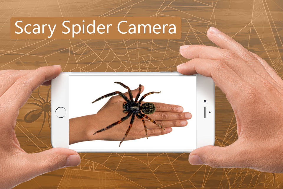 Spider Scare Prank - Magic Spider screenshot 4