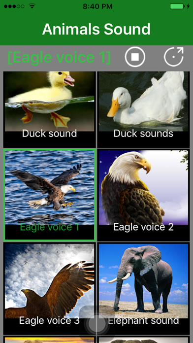 How to cancel & delete Animals Sound - Animal Sound Effects Free from iphone & ipad 3