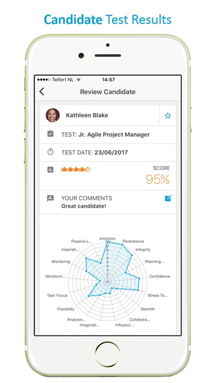 GoTalent Job Personality Test