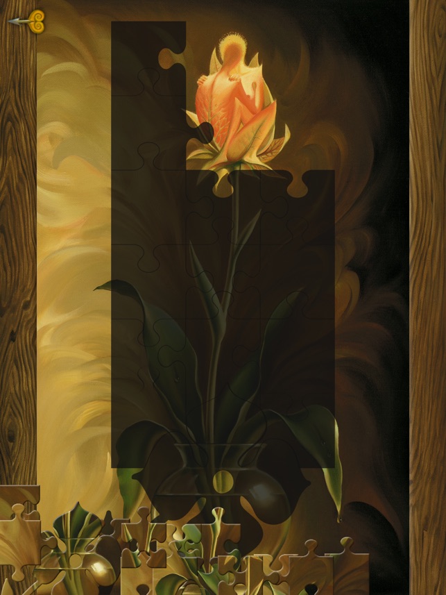 Matrix of Love - Art by Vladimir Kush(圖5)-速報App