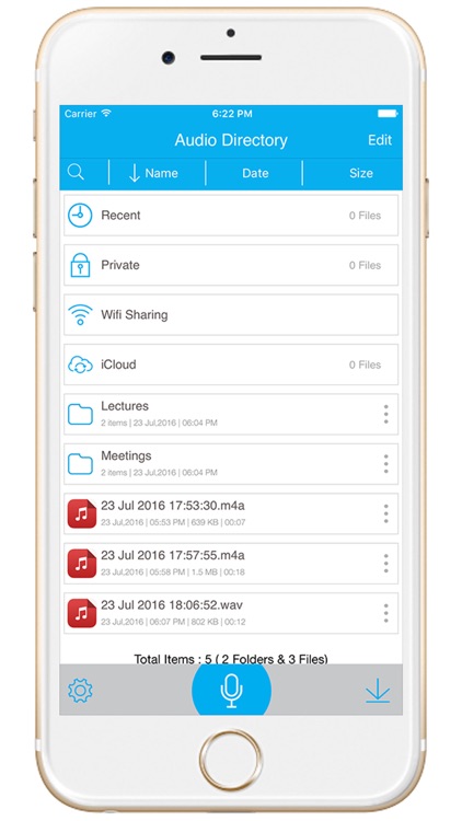 Audio Recorder Pro : Professional Voice Recorder