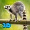 Lemur Forest Life Simulator 3D