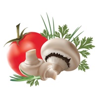 Fun Nature In Colors