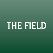 The Field Magazine INT