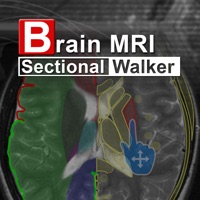 Brain MRI Sectional Walker PC 용