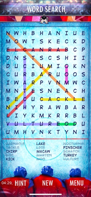 word search on ipad safari