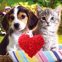 Lovely Animals pour PC