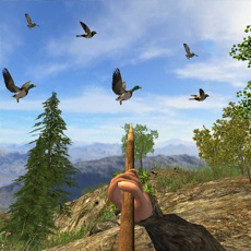 Activities of Bird Hunting Sniper Shooter 3D