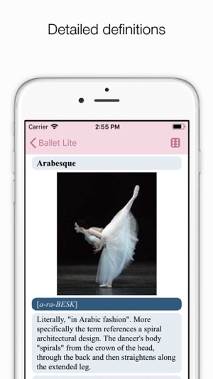 Ballet Index(圖3)-速報App