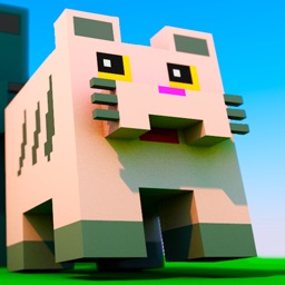 Laser Cat Craft