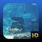 Ocean Aquarium HD for your TV, Tablet and Phone featuring colorful fish, sharks and stingrays