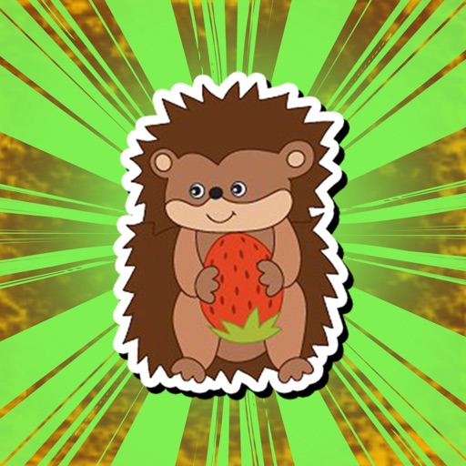 Hedgehog Messenger icon