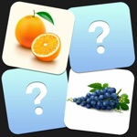 Memory Game Picture Match