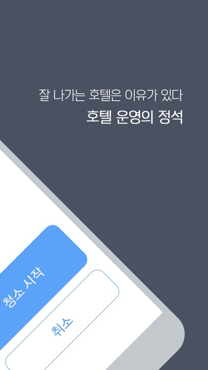 비텔리 청소