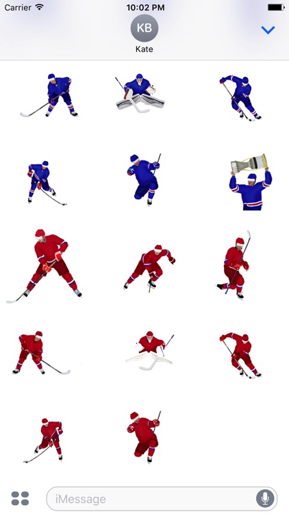 Hockey! Stickers