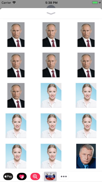Кандидаты на выборы 2018 screenshot-0