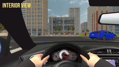 School of Driving 2017 screenshot 3