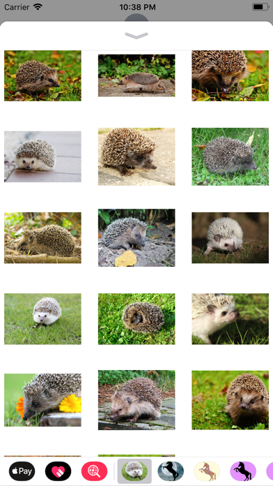 My Hedgehog Sticker Pack screenshot 2