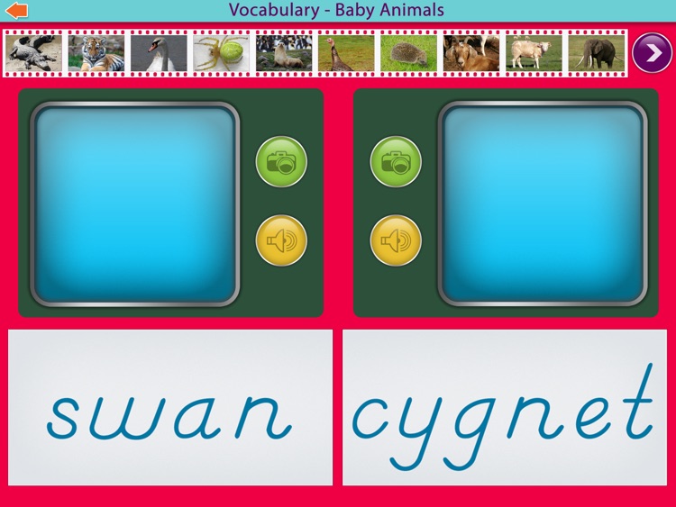 Baby Animals Montessori Vocab. screenshot-4