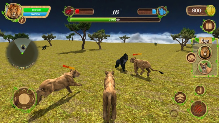 Wild Lion Family Simulator screenshot-3