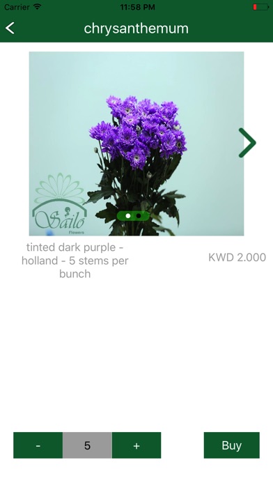 Sailo Flowers screenshot 4