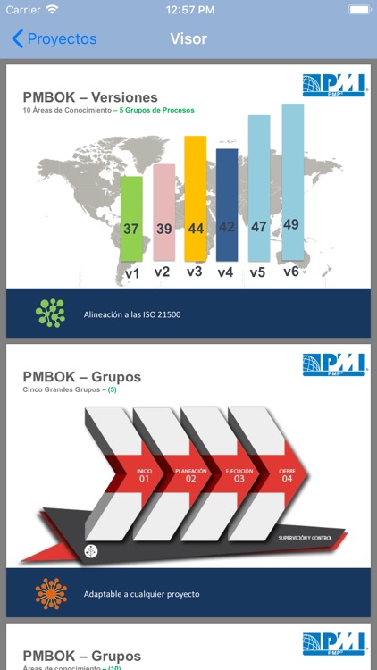 Simulador PMP Proyectos screenshot-4