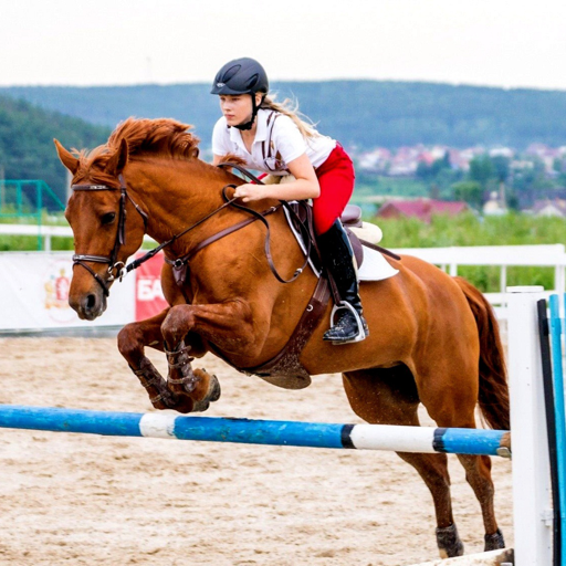 Horse Jumping Skills