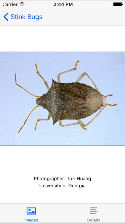 SE Agricultural Stink Bug ID screenshot-3