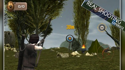 Real Archer Target screenshot 3