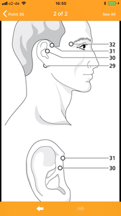 AcuApp® Acupressure screenshot-4