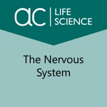 Exploring the Nervous System
