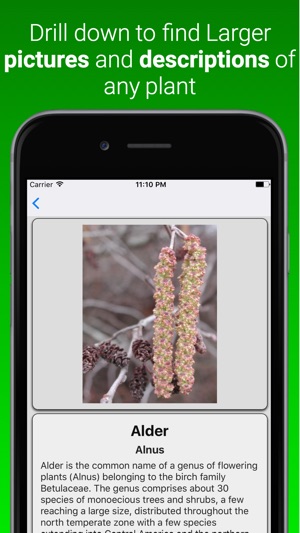 Plant Dictionary Pro(圖2)-速報App