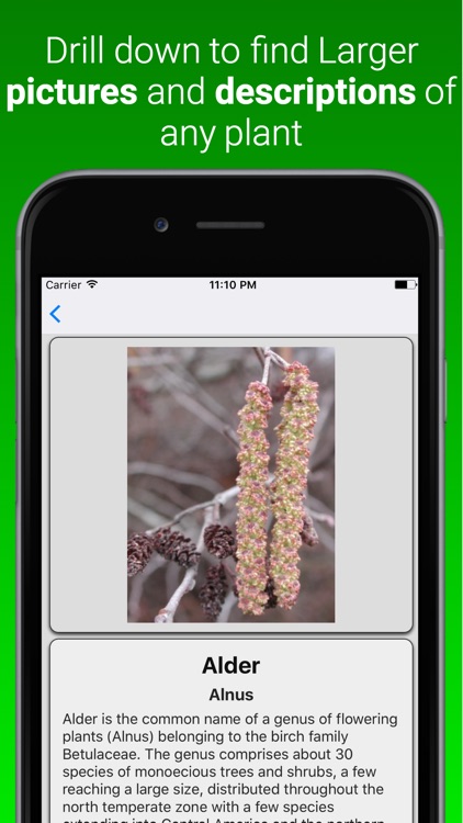Plant Dictionary Pro
