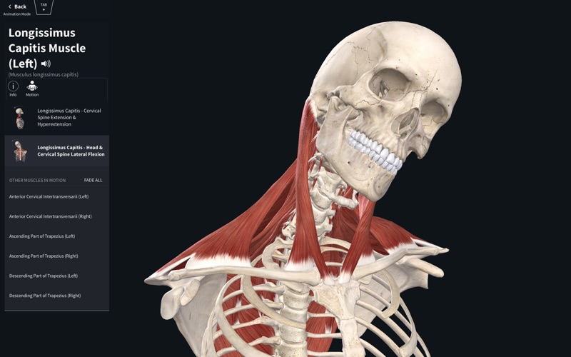 complete anatomy app