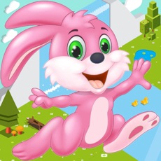 Activities of Run Sunny Bunny Run!