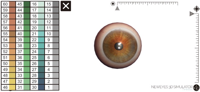 NewEyes 3D Simulator(圖3)-速報App