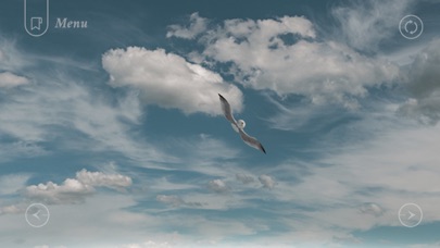 Jonathan Livingston Seagull 1 screenshot 4