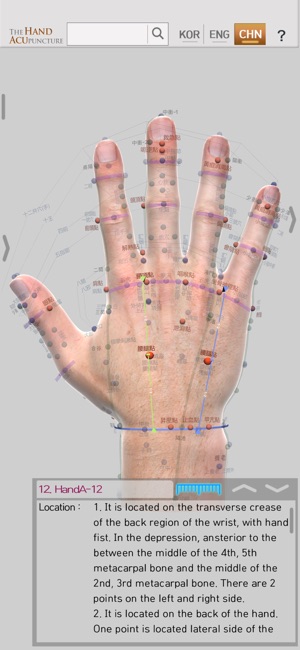 Hand Acupuncture